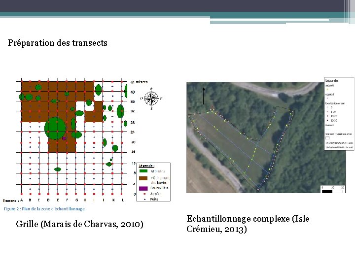 Préparation des transects Grille (Marais de Charvas, 2010) Echantillonnage complexe (Isle Crémieu, 2013) 