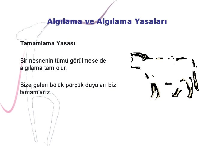 Algılama ve Algılama Yasaları Tamamlama Yasası Bir nesnenin tümü görülmese de algılama tam olur.