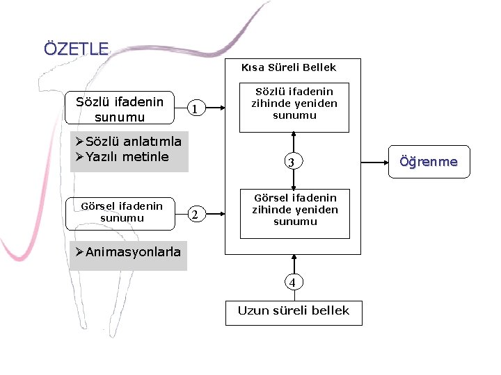 ÖZETLE Kısa Süreli Bellek Sözlü ifadenin sunumu 1 ØSözlü anlatımla ØYazılı metinle Görsel ifadenin