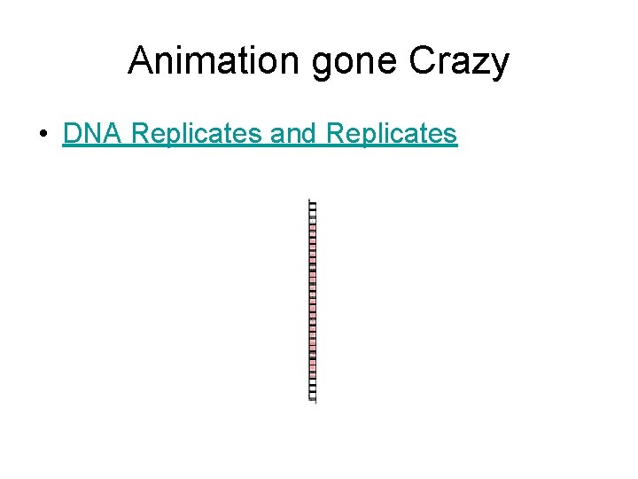 Animation gone Crazy • DNA Replicates and Replicates 