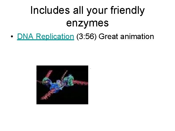 Includes all your friendly enzymes • DNA Replication (3: 56) Great animation 