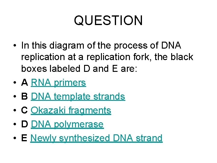 QUESTION • In this diagram of the process of DNA replication at a replication