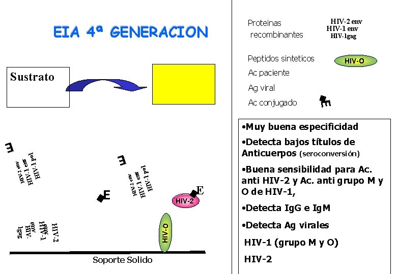 EIA 4ª GENERACION Proteinas recombinantes HIV-2 env HIV-1 gag Peptidos sinteticos HIV-O Ac paciente