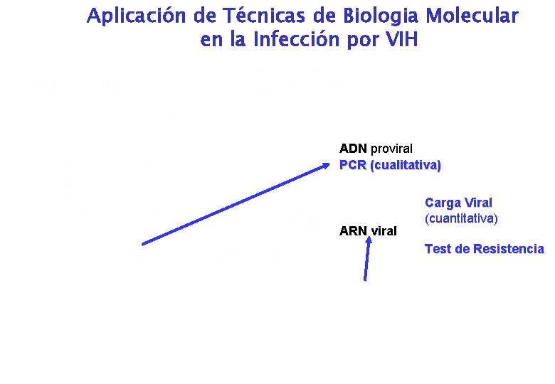 Aplicación de Técnicas de Biologia Molecular en la Infección por VIH ADN proviral PCR