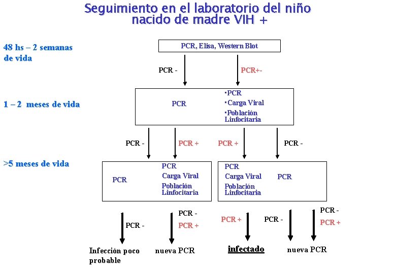 Seguimiento en el laboratorio del niño nacido de madre VIH + 48 hs –