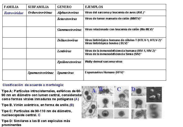 FAMILIA SUBFAMILIA GENERO EJEMPLOS Retroviridae Orthoretrovirinae Alpharetrovirus Virus del sarcoma y leucemia de aves