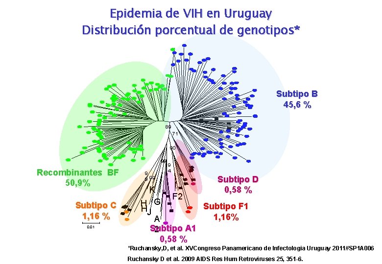 Epidemia de VIH en Uruguay Distribución porcentual de genotipos* Subtipo B 45, 6 %
