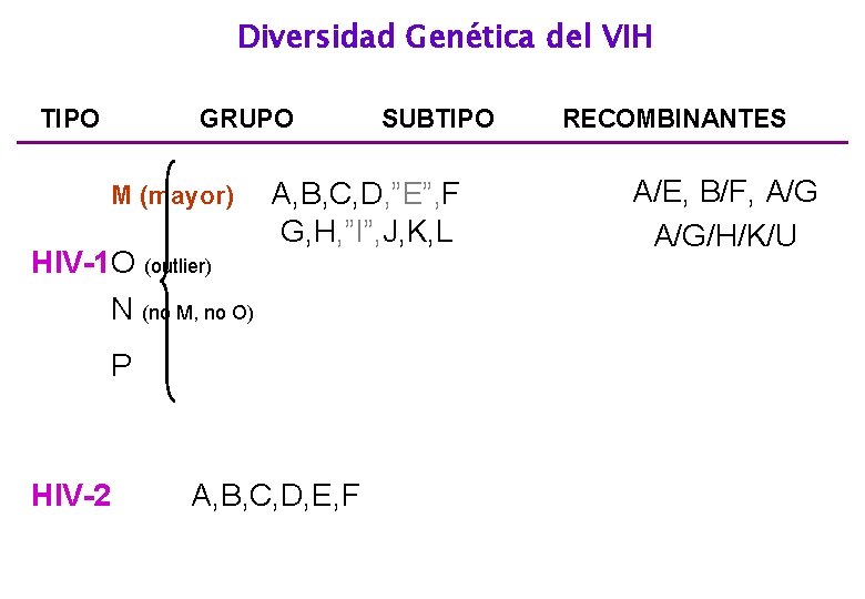 Diversidad Genética del VIH TIPO GRUPO M (mayor) HIV-1 O (outlier) N (no M,