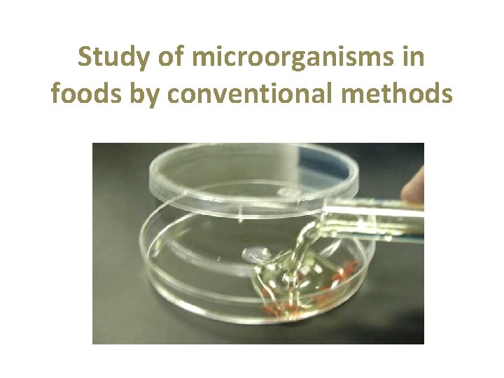 Study of microorganisms in foods by conventional methods 