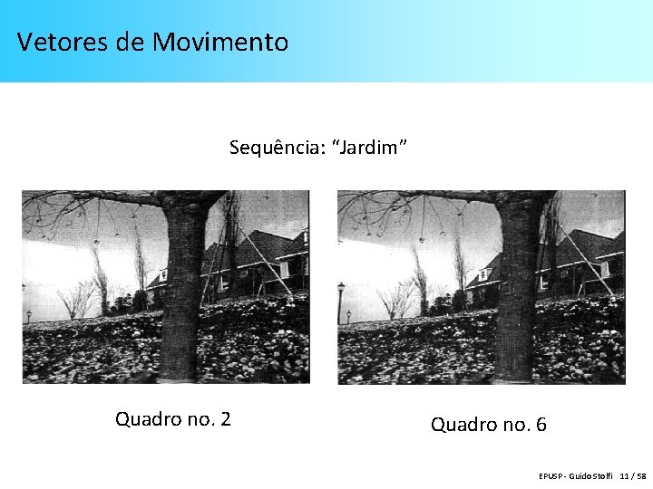 Vetores de Movimento Sequência: “Jardim” Quadro no. 2 Quadro no. 6 EPUSP - Guido