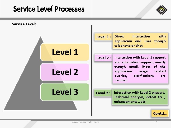 Service Level Processes Service Levels Level 1 : Direct Level 1 Interaction with application