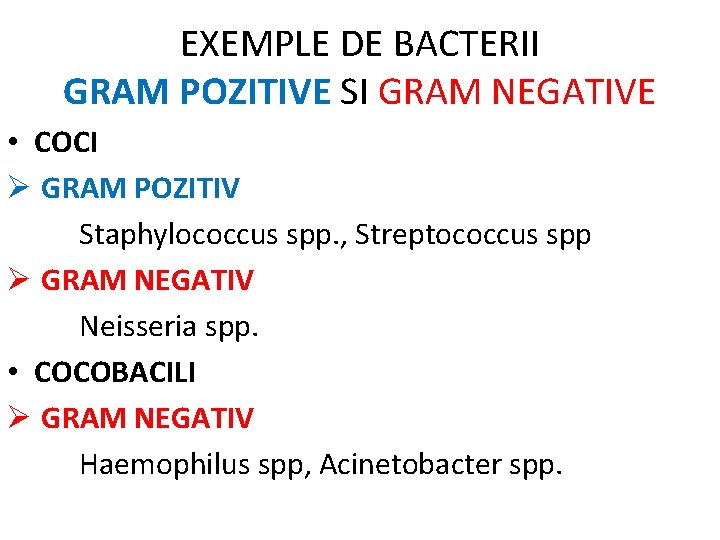 EXEMPLE DE BACTERII GRAM POZITIVE SI GRAM NEGATIVE • COCI Ø GRAM POZITIV Staphylococcus