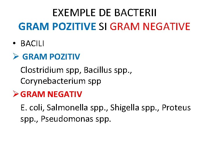 EXEMPLE DE BACTERII GRAM POZITIVE SI GRAM NEGATIVE • BACILI Ø GRAM POZITIV Clostridium