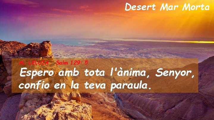 Desert Mar Morta AL·LELUIA Salm 129: 5 Espero amb tota l'ànima, Senyor, confio en