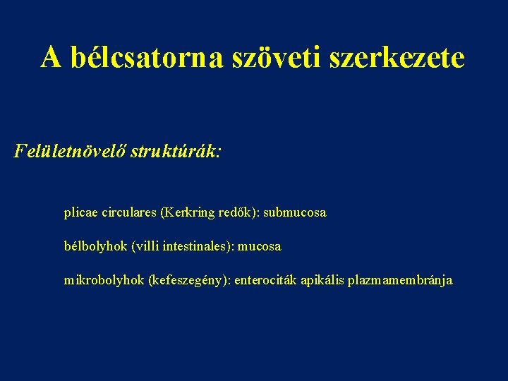 A bélcsatorna szöveti szerkezete Felületnövelő struktúrák: plicae circulares (Kerkring redők): submucosa bélbolyhok (villi intestinales):