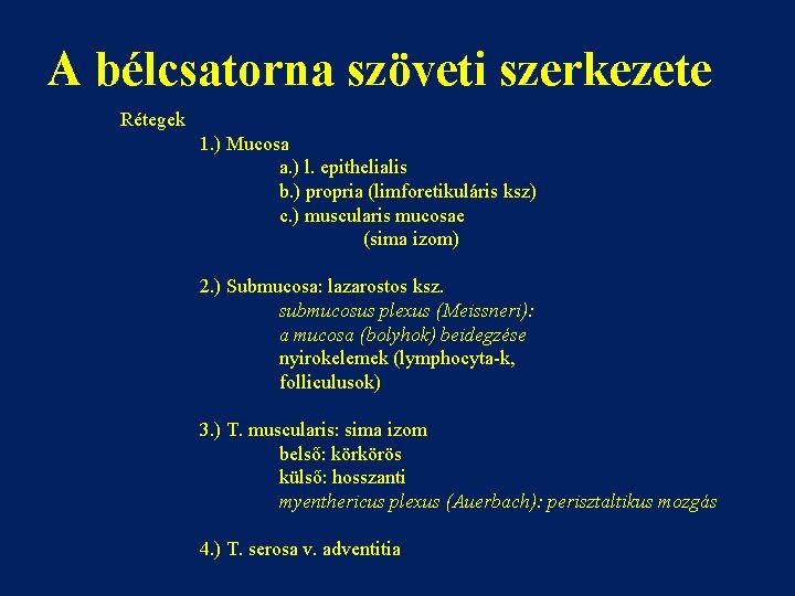 A bélcsatorna szöveti szerkezete Rétegek 1. ) Mucosa a. ) l. epithelialis b. )