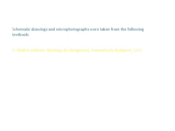 Schematic drawings and microphotographs were taken from the following textbook: P. Röhlich (editor): Histology