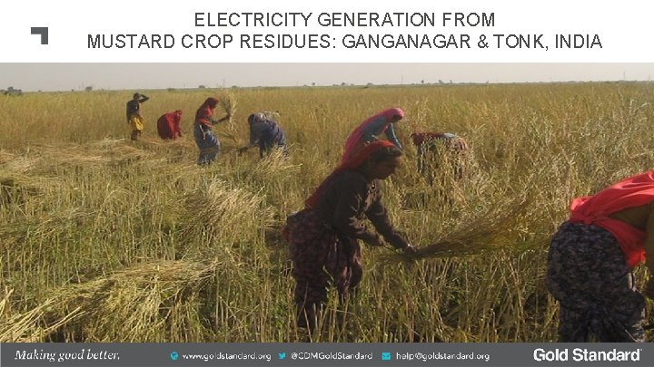 ELECTRICITY GENERATION FROM MUSTARD CROP RESIDUES: GANGANAGAR & TONK, INDIA 