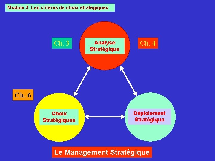 Module 3: Les critères de choix stratégiques Ch. 3 Analyse Stratégique Ch. 4 Ch.