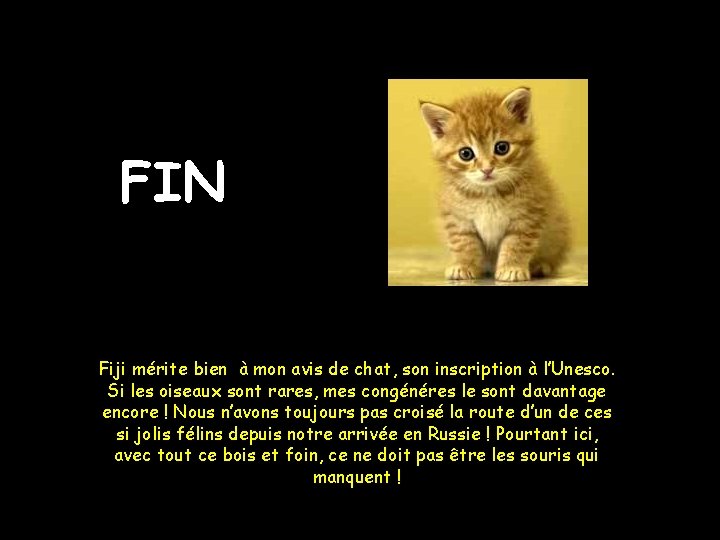 FIN Fiji mérite bien à mon avis de chat, son inscription à l’Unesco. Si