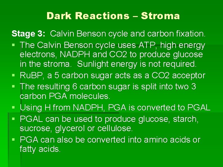 Dark Reactions – Stroma Stage 3: Calvin Benson cycle and carbon fixation. § The Dark Reactions – Stroma Stage 3: Calvin Benson cycle and carbon fixation. § The