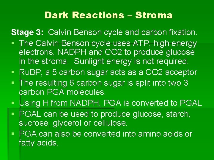 Dark Reactions – Stroma Stage 3: Calvin Benson cycle and carbon fixation. § The