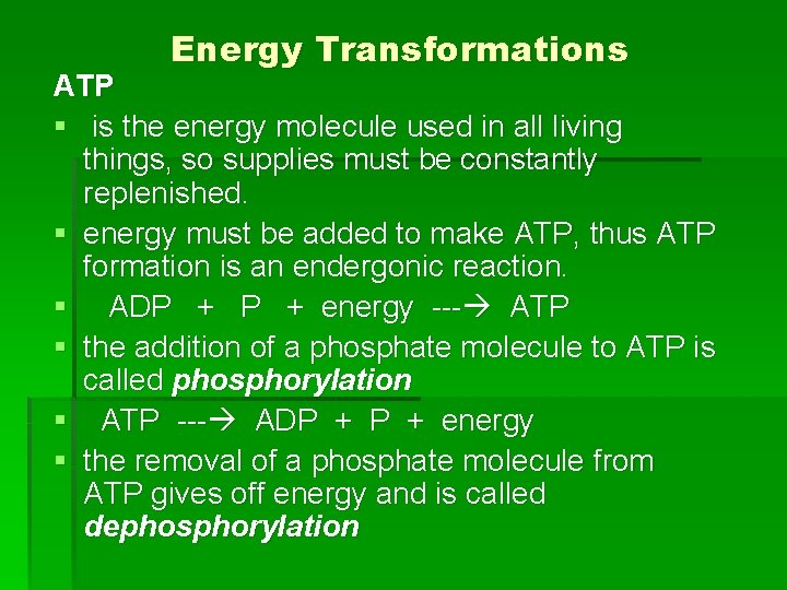 Energy Transformations ATP § is the energy molecule used in all living things, so