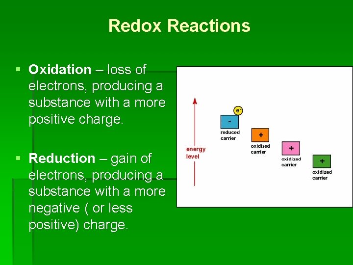 Redox Reactions § Oxidation – loss of electrons, producing a substance with a more Redox Reactions § Oxidation – loss of electrons, producing a substance with a more