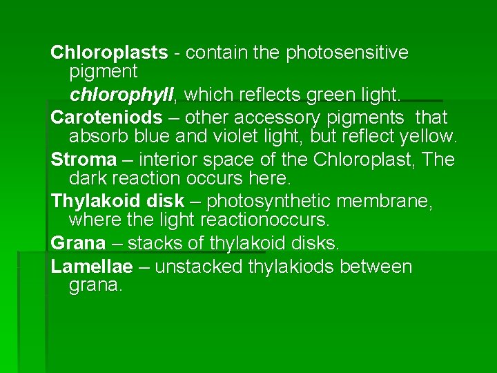 Chloroplasts - contain the photosensitive pigment chlorophyll, which reflects green light. Caroteniods – other