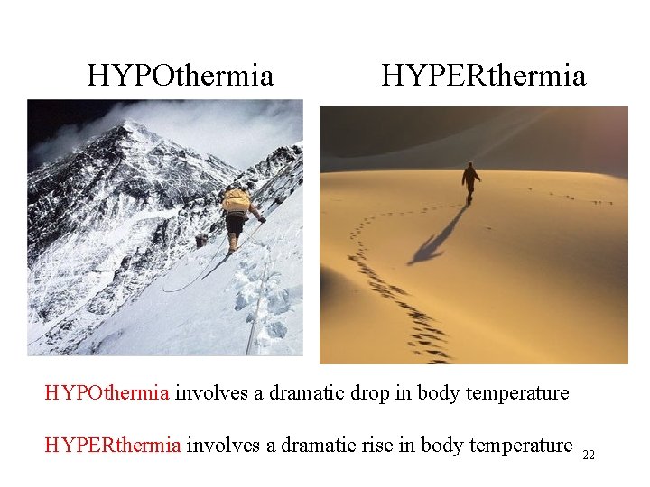 HYPOthermia HYPERthermia HYPOthermia involves a dramatic drop in body temperature HYPERthermia involves a dramatic