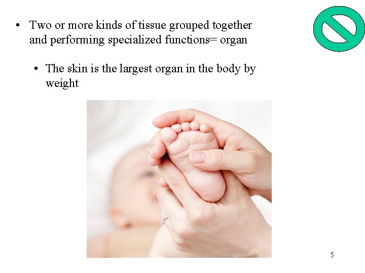  • Two or more kinds of tissue grouped together and performing specialized functions=