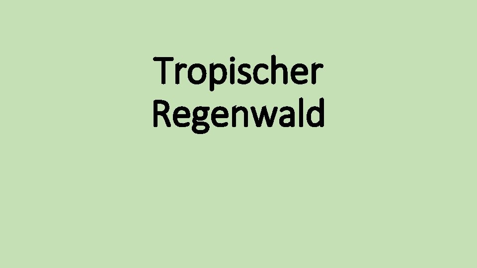 Tropischer Regenwald 