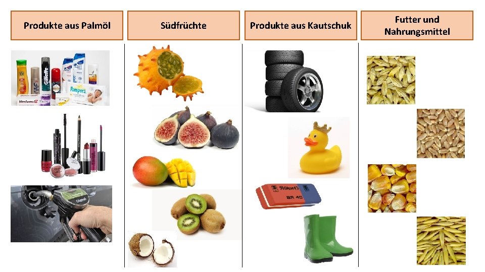 Produkte aus Palmöl Südfrüchte Produkte aus Kautschuk Futter und Nahrungsmittel 