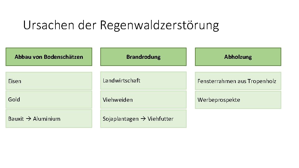 Ursachen der Regenwaldzerstörung Abbau von Bodenschätzen Brandrodung Abholzung Eisen Landwirtschaft Fensterrahmen aus Tropenholz Gold