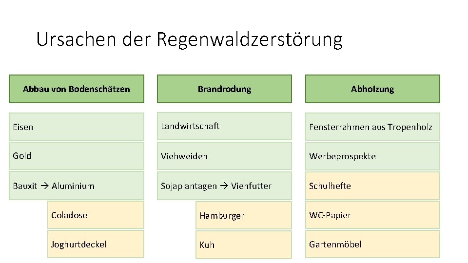 Ursachen der Regenwaldzerstörung Abbau von Bodenschätzen Brandrodung Abholzung Eisen Landwirtschaft Fensterrahmen aus Tropenholz Gold