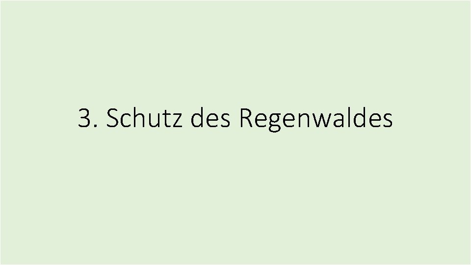 3. Schutz des Regenwaldes 