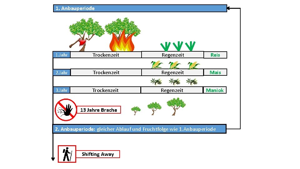 1. Anbauperiode 1. Jahr Trockenzeit Regenzeit Reis 2. Jahr Trockenzeit Regenzeit Mais 3. Jahr