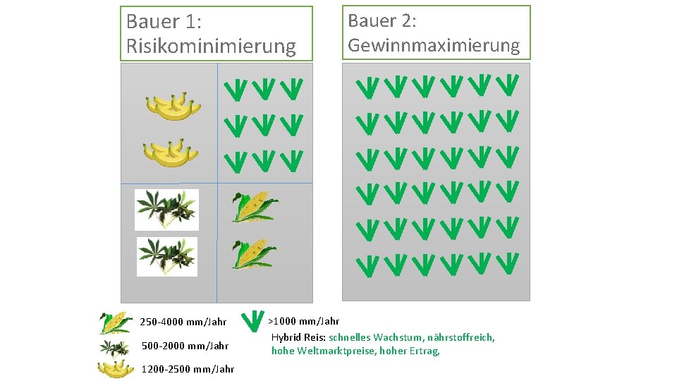 Bauer 1: Risikominimierung 250 -4000 mm/Jahr 500 -2000 mm/Jahr 1200 -2500 mm/Jahr Bauer 2: