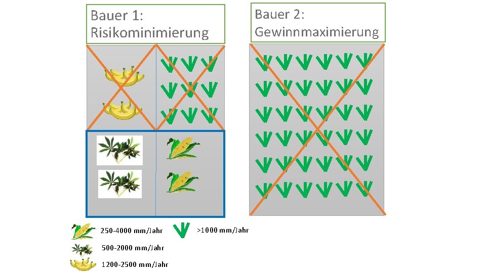 Bauer 1: Risikominimierung 250 -4000 mm/Jahr 500 -2000 mm/Jahr 1200 -2500 mm/Jahr >1000 mm/Jahr