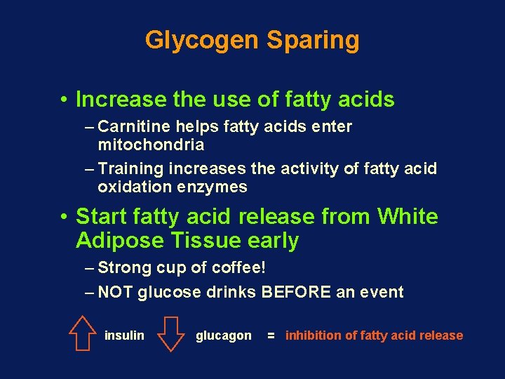 Glycogen Sparing • Increase the use of fatty acids – Carnitine helps fatty acids