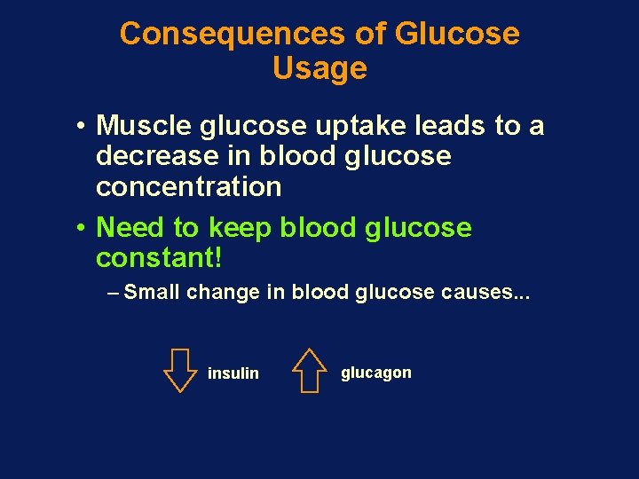 Consequences of Glucose Usage • Muscle glucose uptake leads to a decrease in blood Consequences of Glucose Usage • Muscle glucose uptake leads to a decrease in blood