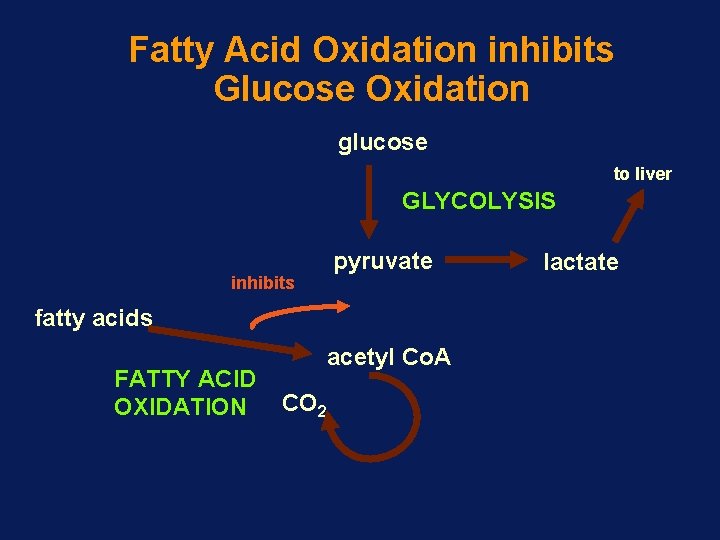 Fatty Acid Oxidation inhibits Glucose Oxidation glucose to liver GLYCOLYSIS inhibits pyruvate fatty acids