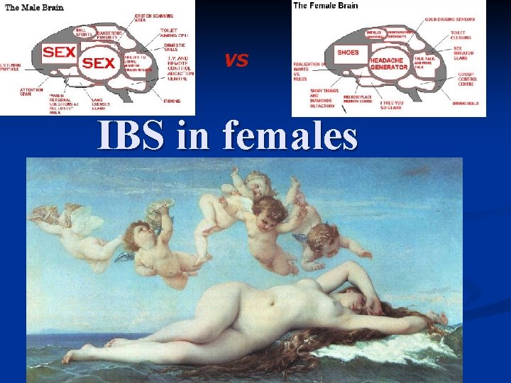 VS IBS in females 