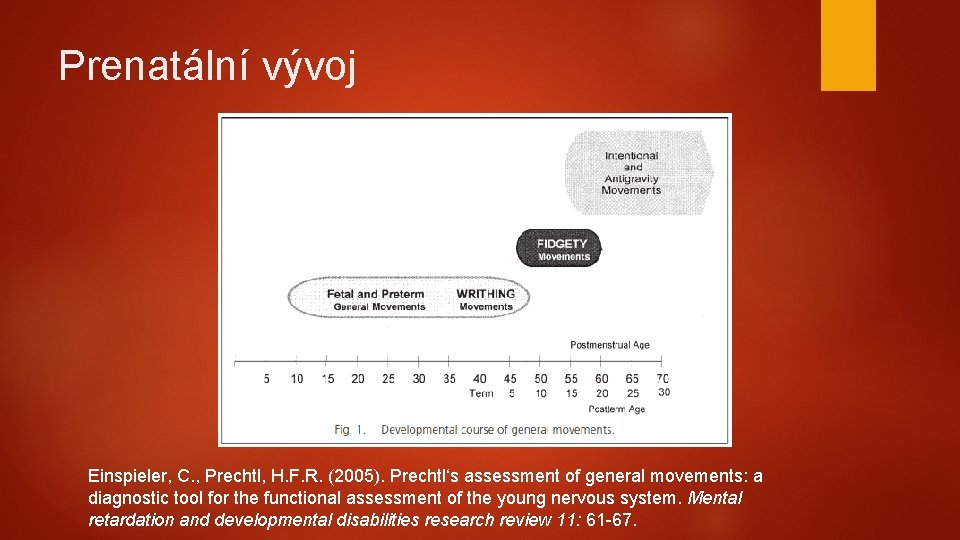 Prenatální vývoj Einspieler, C. , Prechtl, H. F. R. (2005). Prechtl‘s assessment of general