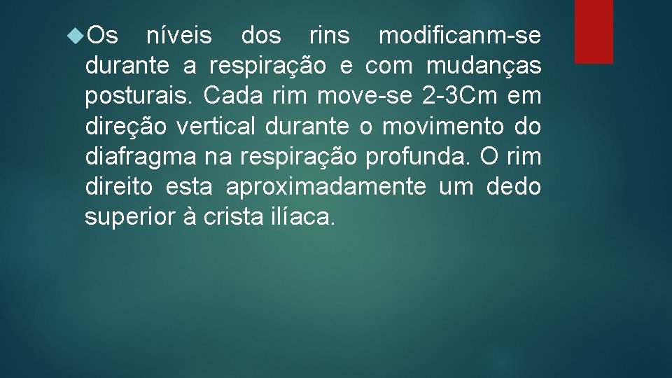  Os níveis dos rins modificanm-se durante a respiração e com mudanças posturais. Cada