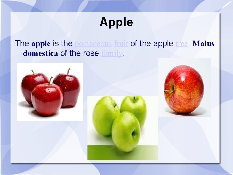Apple The apple is the pomaceous fruit of the apple tree, Malus domestica of