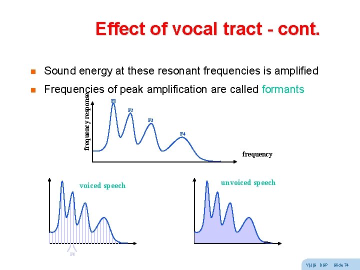 Effect of vocal tract - cont. Sound energy at these resonant frequencies is amplified Effect of vocal tract - cont. Sound energy at these resonant frequencies is amplified