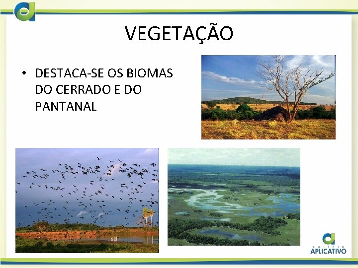 VEGETAÇÃO • DESTACA-SE OS BIOMAS DO CERRADO E DO PANTANAL 