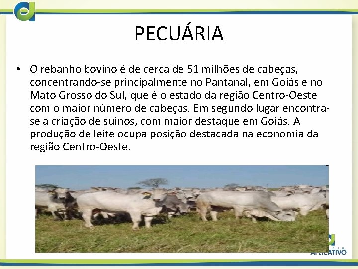 PECUÁRIA • O rebanho bovino é de cerca de 51 milhões de cabeças, concentrando-se