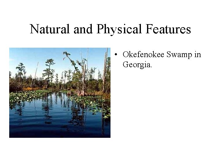 Natural and Physical Features • Okefenokee Swamp in Georgia. 